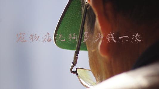 大家的狗狗去宠物店洗澡一次花多少钱(宠物店给狗狗洗一次澡多少钱)