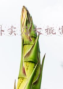 只做外卖.大概得投资多少钱，需要办什（开个纯外卖店大概投资多少钱）