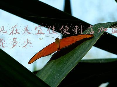 加盟美宜佳便利店月利润是多少（美宜佳便利店加盟多少钱月利润多少）