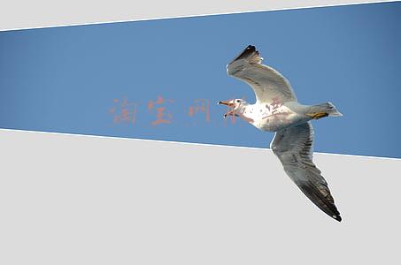 淘宝的股票(80后夫妻控股98%，淘系女装第一股下周发行，A股市场会给“淘宝店”多少估值？)