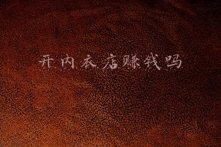 开内衣店赚钱吗