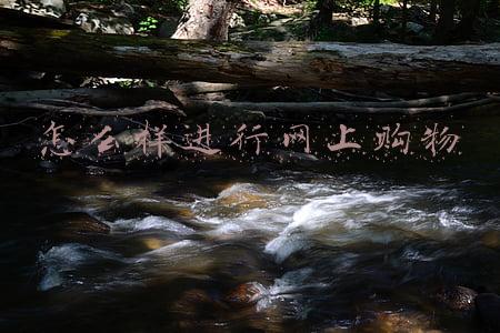 怎么样进行网上购物