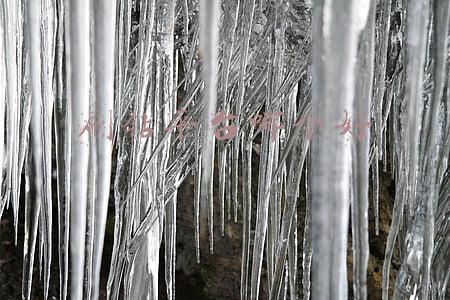 qq卡盟刷钻平台网站(卡盟代刷可靠吗？在线揭秘代刷网卡盟骗局。)