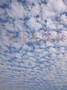 yy主播怎么赚钱