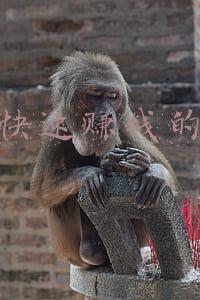 网上快速赚钱的方法大全加筘Q裙388~150(一条垃圾短信能卖上百元，这个行业竟然还挺火)