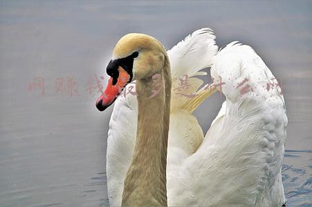 网赚钱最多是什么网