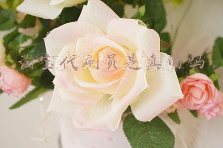 淘宝代刷业务员靠谱吗(淘宝代运营靠谱不)