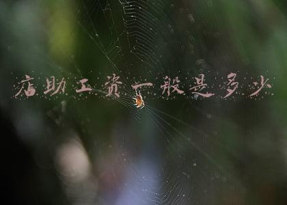 销售助理的工资一般是多少啊？：销售助理工资多少