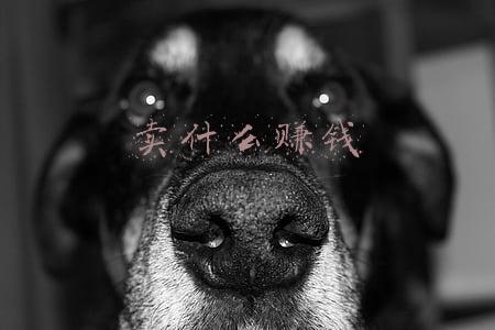 卖什么利润大(一小时赚500元，盘点地摊上最受欢迎的产品TOP3)