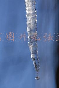 淘宝图片无法显示