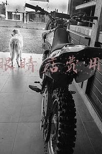 现在开眼镜店还能挣钱吗？想加盟的话哪个品牌好？求介绍-加盟眼镜店能赚钱吗