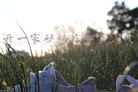 开一家砂锅店要多少钱