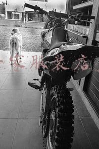 开个服装加盟店大概需要多少钱（加盟一家服装店大概要多少钱）