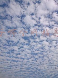 买鞋子哪个网站是正品