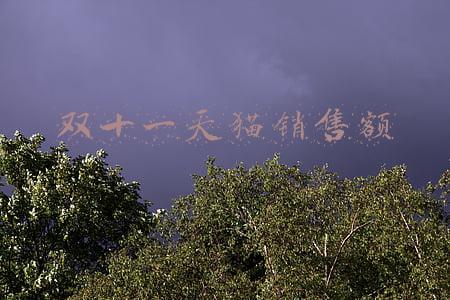 双十一天猫销售额排行(成交46.5亿超耐克！安踏集团双十一跃至天猫行业第一)