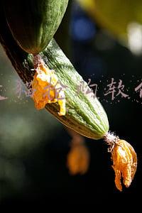 天猫抢购软件安全(有消费者用筋膜枪抢茅台 天猫超市：不可靠且存在身体受伤的可能)