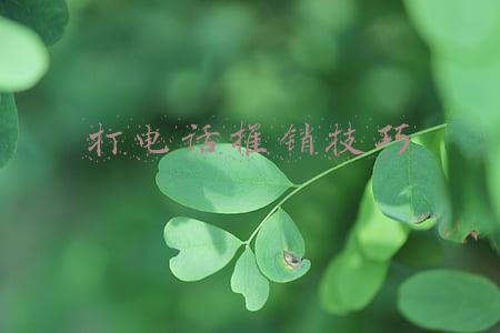 打推销电话的技巧(电话销售技巧)