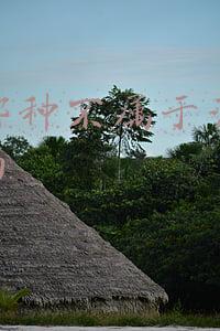 淘宝网规定了哪些行为属于一般违规行为(淘宝直播中哪些行为会被判定为虚假宣传，属于一般违规)