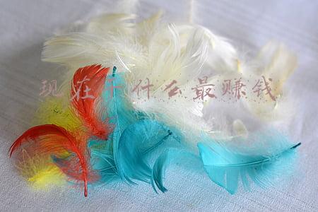 现在干什么最赚钱