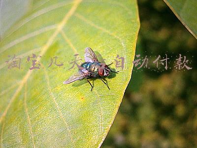 淘宝自动付款怎么取消(怎么取消自动续费「汇总大全」)