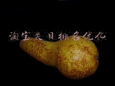 淘宝主营类目排名(淘宝新手做哪个类目比较好？)
