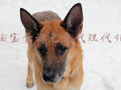 淘宝货源免费代理代销一件代发(淘宝一件代发怎么做？怎样做好？)