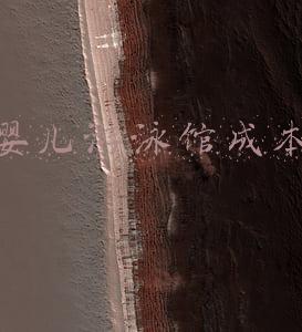 婴儿游泳馆加盟(加盟开个婴幼儿游泳馆宝宝洗澡游泳需要多少钱)