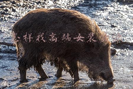 潮流女装批发货源哪里好(中国十大女装批发市场货源攻略！)