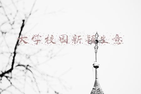 适合大学校园的小生意(大学生校园生活服务为什么那么流行，做哪些业务更有前景？)