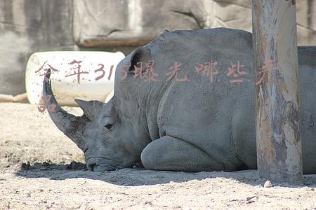 今年315曝光哪些产品