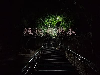 短视频脚本范文(短视频脚本怎么写？这些脚本模板，直接套用就能火)