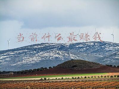 当前什么最赚钱