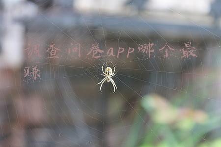 易调网(易事特股价暴跌19.97%，第三代半导体板块为何“高台跳水”？)