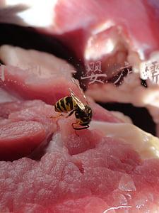 开家母婴店大概要多少资金_开一家母婴店需要多少钱