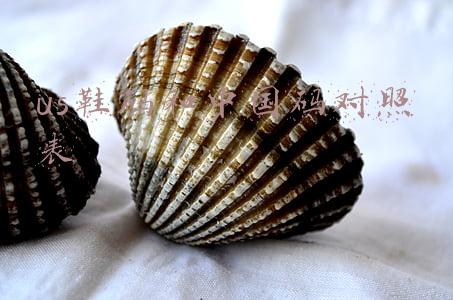 us鞋码和中国码对照表