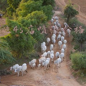 北京奥迪车门喷漆全车喷漆各需要多少钱 哪里喷漆好_北京奥迪4s店喷漆多少钱一个面