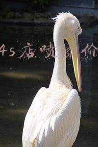 奥迪A6车门的钣金喷漆多少钱（奥迪a6在4s店车门喷漆多少钱）