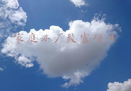 家庭办厂致富项目