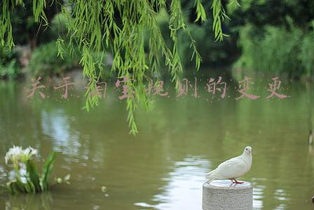 关于淘宝规则的变更