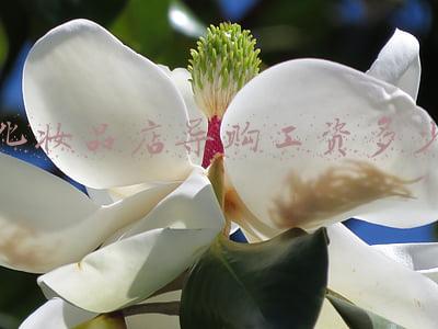 化妆品导购一个月能赚多少 做化妆品赚钱么？