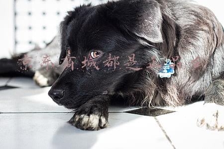 京东商城都是正品么