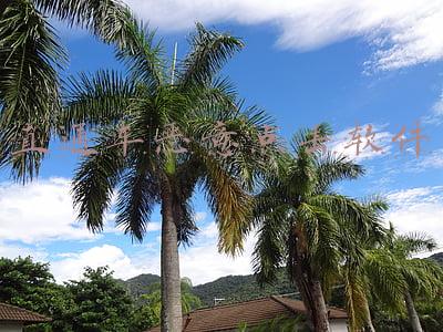 直通车恶意点击软件
