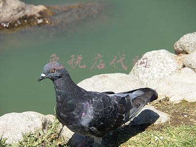 免税店代购违法吗(买机场免税店商品再销售牟利，两人逃税425万主犯获刑十年)
