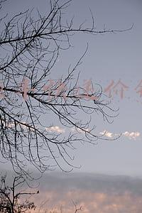 顺丰快递价格明细表2022(事关你的快递！最新消息来了)