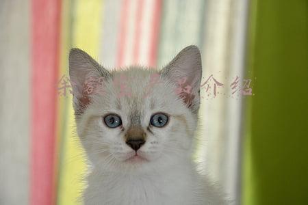 余额宝产品介绍文(发现了一个3.5%的「余额宝」| 支付宝新品测评)