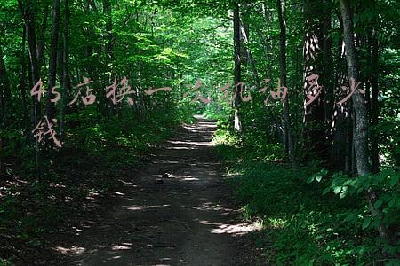 丰田凯美瑞专用机油价格多少，保养效果怎么样？：4s店换一次机油多少钱丰田凯美瑞