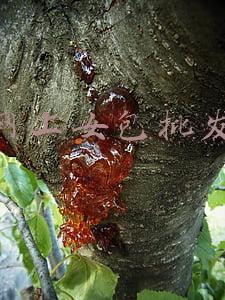 女包包批发(广州服装批发市场，女生们扫货的好去处！)