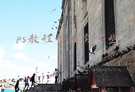 ps怎么做网站(建议收藏｜4个PS大神都在用的宝藏设计网站)