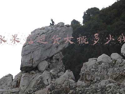 水果店进货大概多少钱