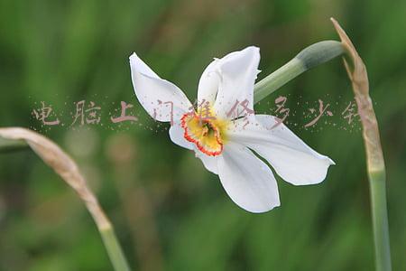 电脑维修上门附近(上门修电脑把我当牛用，真会省钱，还想领导我，你能请得起我吗？)